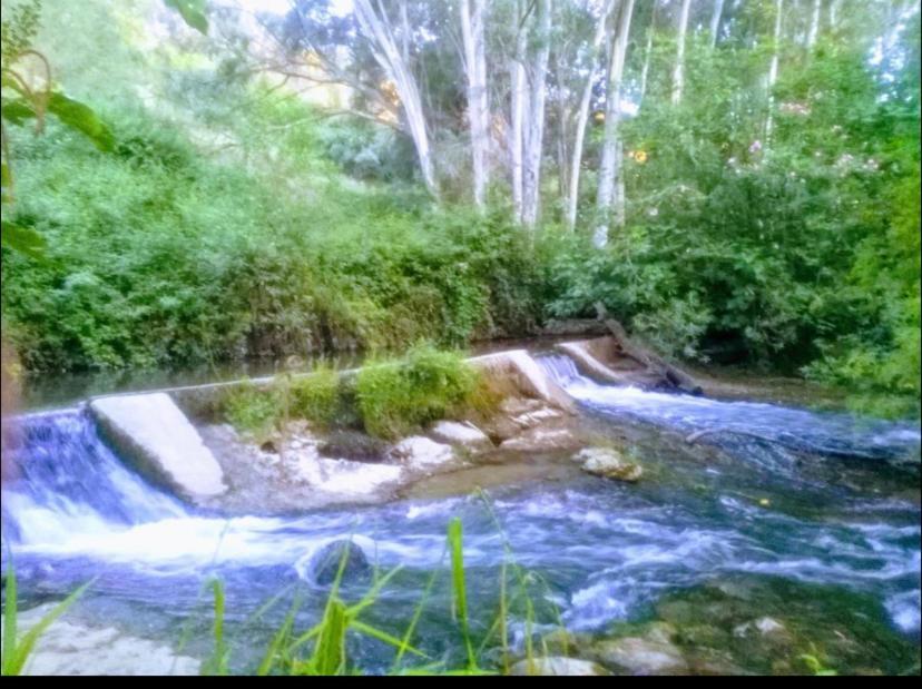 Alto De Torrecillas El Bosque Dış mekan fotoğraf