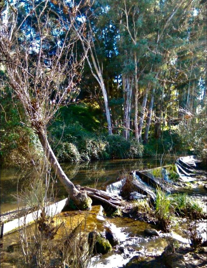 Alto De Torrecillas El Bosque Dış mekan fotoğraf