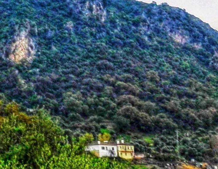 Alto De Torrecillas El Bosque Dış mekan fotoğraf