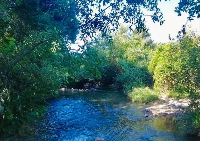 Alto De Torrecillas El Bosque Dış mekan fotoğraf