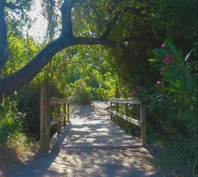 Alto De Torrecillas El Bosque Dış mekan fotoğraf
